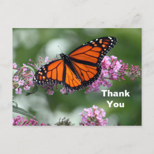 Carte Postale Papillon Orange Monarque Fleur Photo Merci