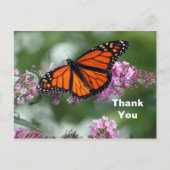 Carte Postale Papillon Orange Monarque Fleur Photo Merci (Devant)