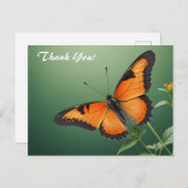 Carte Postale Papillon orange sur fond vert (Devant / Derrière)