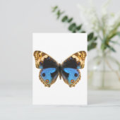 Carte Postale Papillon Pansy Bleu (Debout devant)