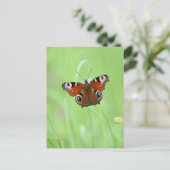 Carte Postale Papillon Paon (Debout devant)