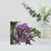 Carte postale - Papillon Papilio sur Fleur (Debout devant)