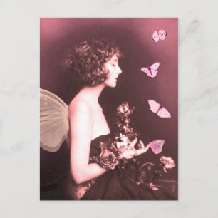 Carte Postale Papillon, Papillon