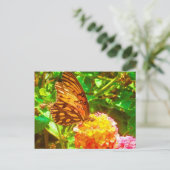 Carte Postale Papillon (papillon) (Debout devant)
