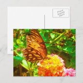 Carte Postale Papillon (papillon) (Devant / Derrière)
