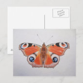 Carte Postale Papillon Peacock 2012 (Devant / Derrière)