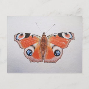 Carte Postale Papillon Peacock 2012