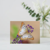 Carte Postale Papillon Peacock blanc sur Fleurs violettes (Debout devant)