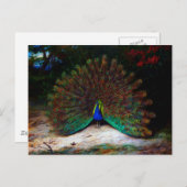 Carte Postale Papillon Peacock et Peacock (Devant / Derrière)