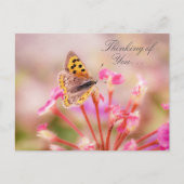 Carte Postale Papillon Pensant à Toi (Devant)