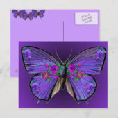 Carte postale Papillon Persephone (Devant / Derrière)