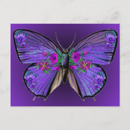 Carte postale Papillon Persephone (Devant)