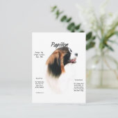 Carte Postale Papillon (Phalene) Conception historique (Debout devant)