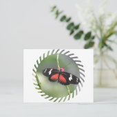 Carte postale Papillon Photo Design (Debout devant)