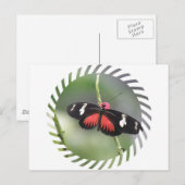 Carte postale Papillon Photo Design (Devant / Derrière)