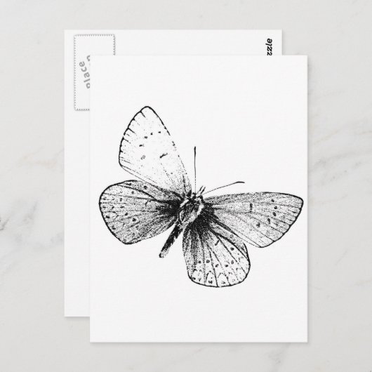 Carte Postale Papillon Pop Art (Devant / Derrière)