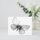 Carte Postale Papillon Pop Art (Debout devant)