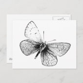 Carte Postale Papillon Pop Art (Devant / Derrière)