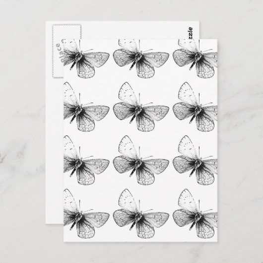 Carte Postale Papillon Pop Art (Devant / Derrière)