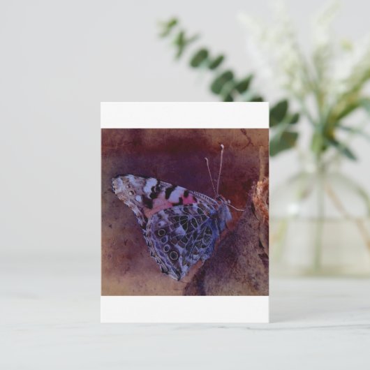 Carte Postale Papillon pourpre (Debout devant)