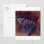 Carte Postale Papillon pourpre (Devant / Derrière)