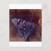 Carte Postale Papillon pourpre (Devant)
