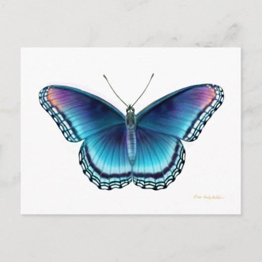 Carte postale Papillon pourpre tacheté rouge (Devant)