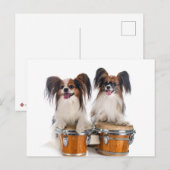Carte Postale Papillon Puppies Jouer des tambours (Devant / Derrière)