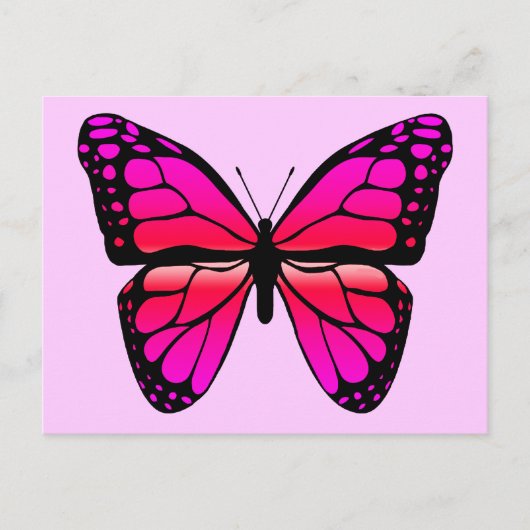 Carte postale Papillon rose (Devant)