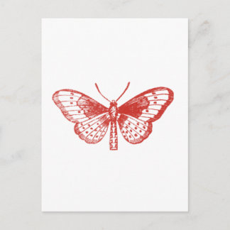 Carte Postale Papillon rouge