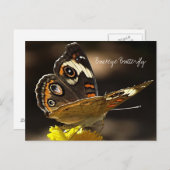 Carte Postale Papillon rouge sur une fleur jaune avec texte (Devant / Derrière)