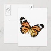 Carte Postale Papillon Schmetterling (Devant / Derrière)
