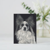 Carte postale Papillon - "Sparkles" (Debout devant)