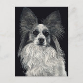 Carte postale Papillon - "Sparkles" (Devant)