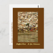 Carte Postale Papillon sur Buffalo (Devant / Derrière)