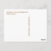 Carte Postale Papillon sur Buffalo (Dos)