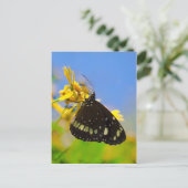 Carte Postale Papillon sur Fleur Jaune (Debout devant)