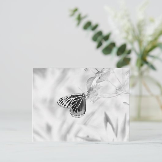 Carte Postale Papillon sur fleur - Noir et Blanc (Debout devant)