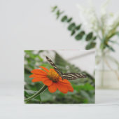 Carte Postale Papillon sur Fleur orange (Debout devant)