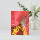 Carte postale Papillon sur fleur rouge (Debout devant)