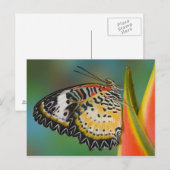 Carte Postale Papillon sur fleur tropicale (Devant / Derrière)