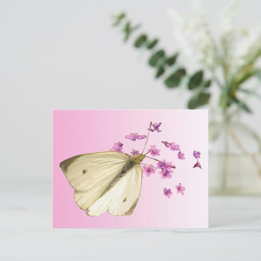 Carte Postale Papillon sur Fleurs (Debout devant)