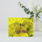 Carte Postale Papillon sur Fleurs Jaunes (Debout devant)