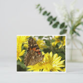 Carte Postale Papillon sur la fleur jaune. (Debout devant)