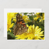 Carte Postale Papillon sur la fleur jaune. (Devant / Derrière)