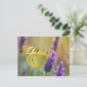 Carte Postale Papillon sur Lavande (Debout devant)