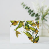 Carte postale "Papillon sur Milkweed" (Debout devant)