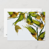 Carte postale "Papillon sur Milkweed" (Devant / Derrière)