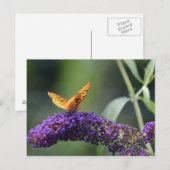 Carte Postale Papillon sur papillon Bush fleuron (Devant / Derrière)