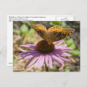 Carte Postale Papillon sur un confleur pourpre (Devant / Derrière)